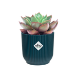 vibes fold rund mini 9cm tiefes blau